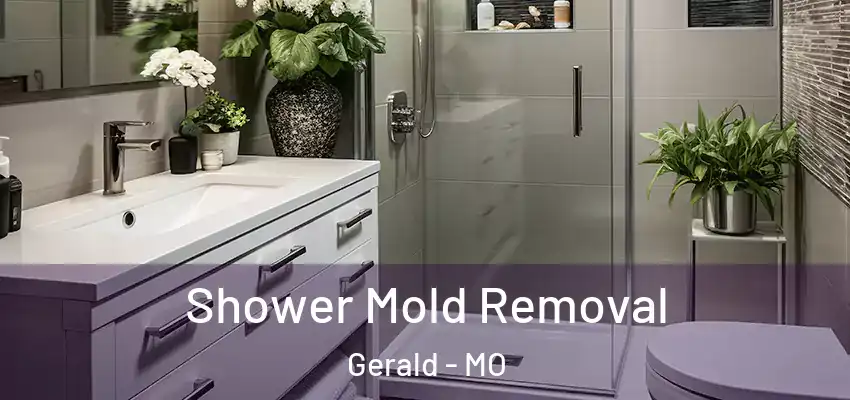  Shower Mold Removal Gerald - MO