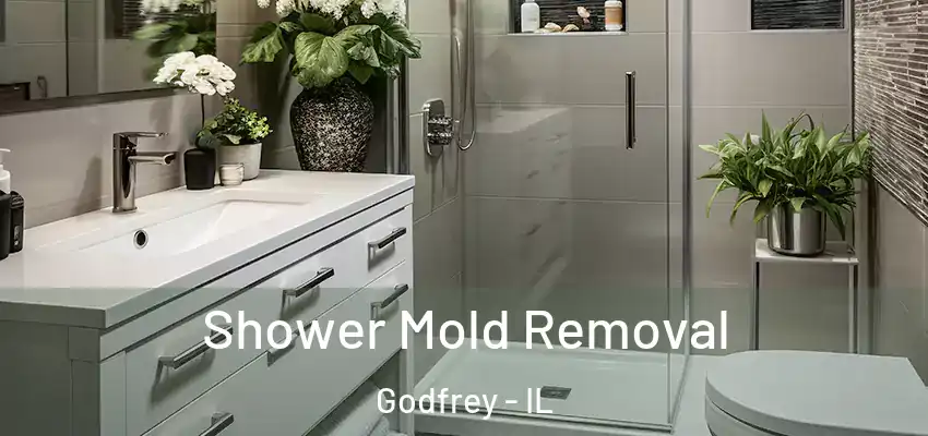  Shower Mold Removal Godfrey - IL