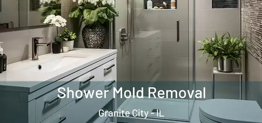  Shower Mold Removal Granite City - IL