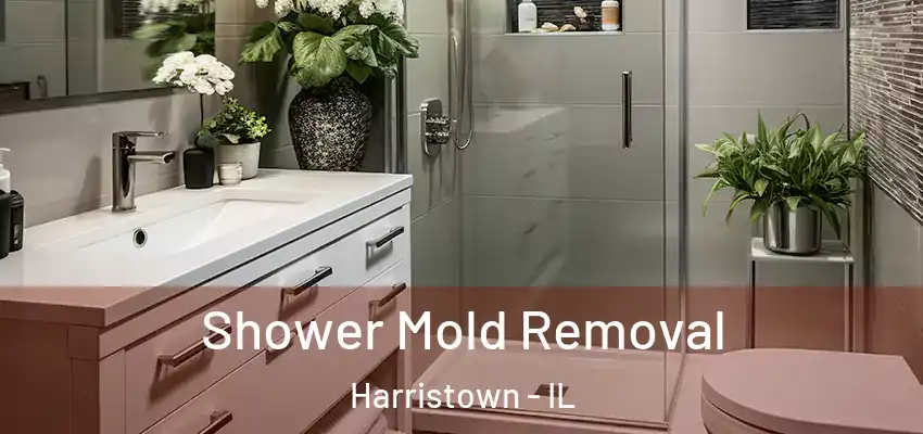 Shower Mold Removal Harristown - IL