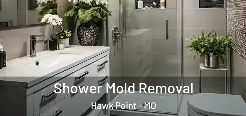  Shower Mold Removal Hawk Point - MO