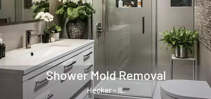 Shower Mold Removal Hecker - IL