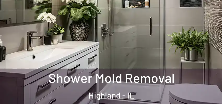 Shower Mold Removal Highland - IL