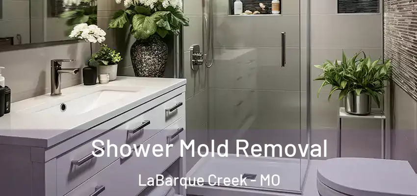  Shower Mold Removal LaBarque Creek - MO