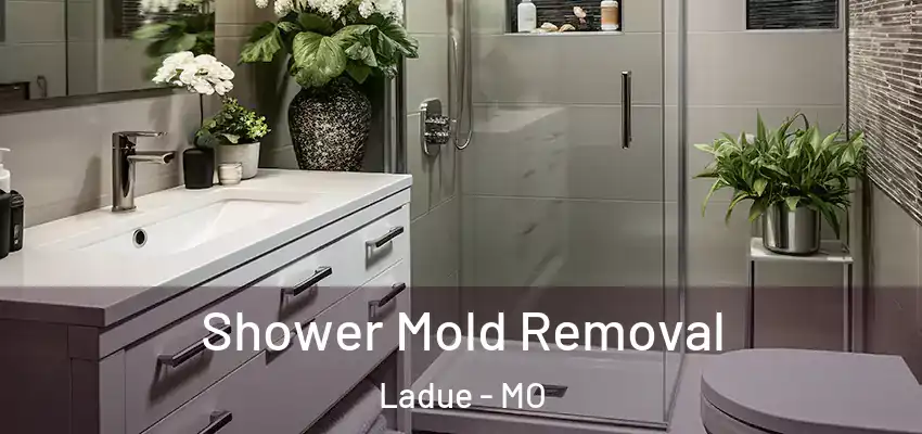  Shower Mold Removal Ladue - MO