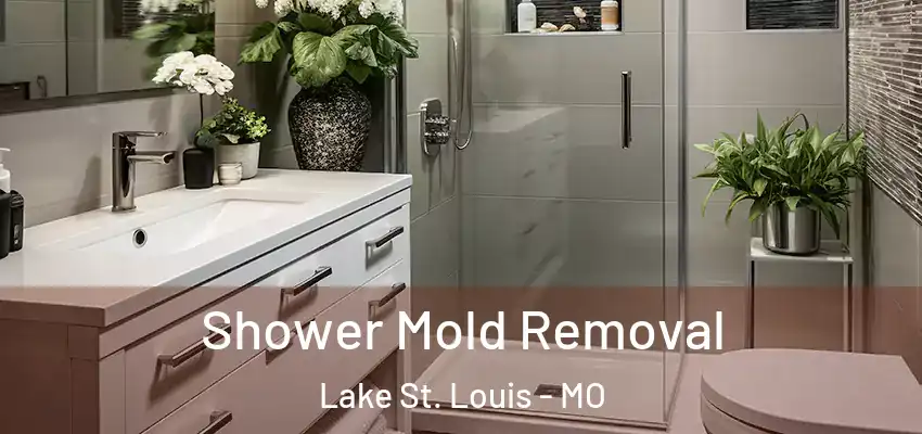  Shower Mold Removal Lake St. Louis - MO