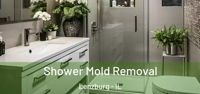  Shower Mold Removal Lenzburg - IL