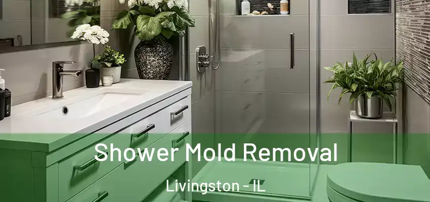  Shower Mold Removal Livingston - IL