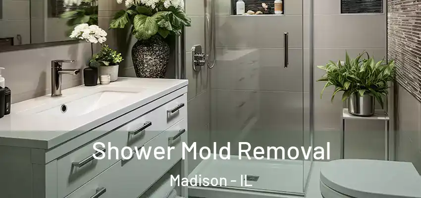  Shower Mold Removal Madison - IL