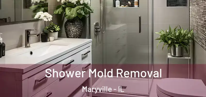 Shower Mold Removal Maryville - IL