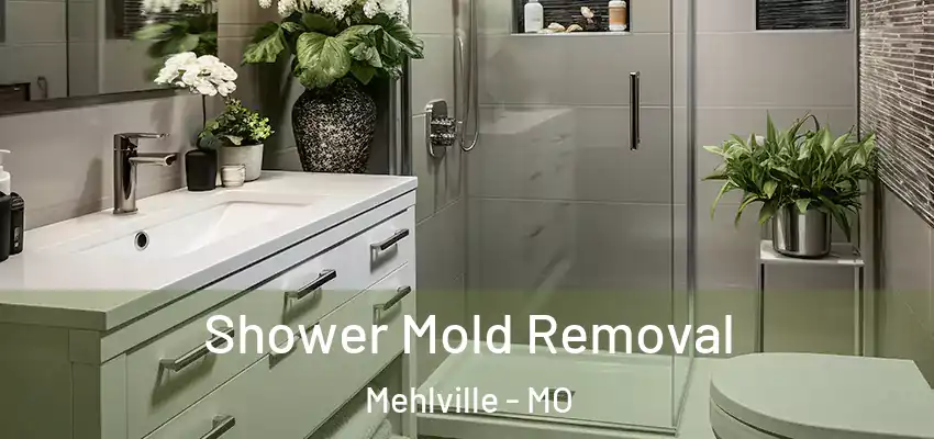  Shower Mold Removal Mehlville - MO