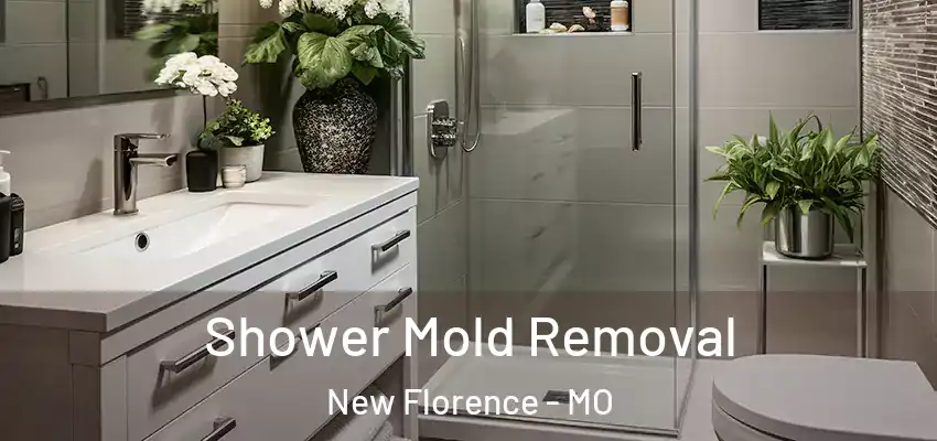  Shower Mold Removal New Florence - MO