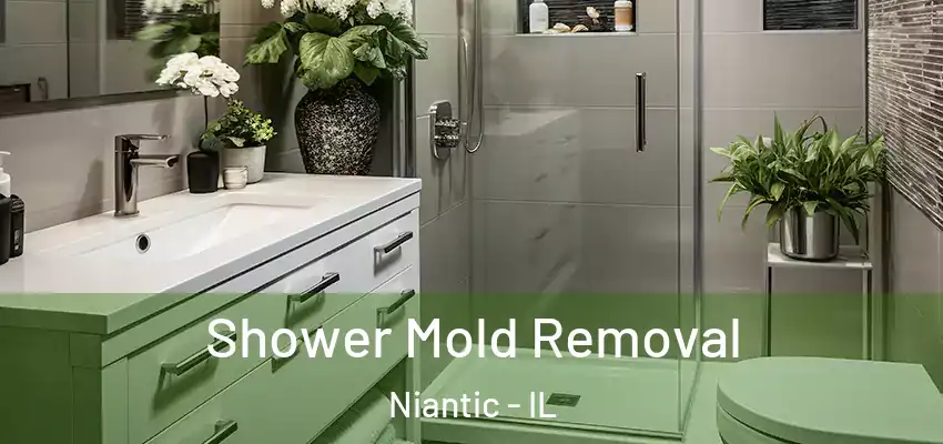 Shower Mold Removal Niantic - IL
