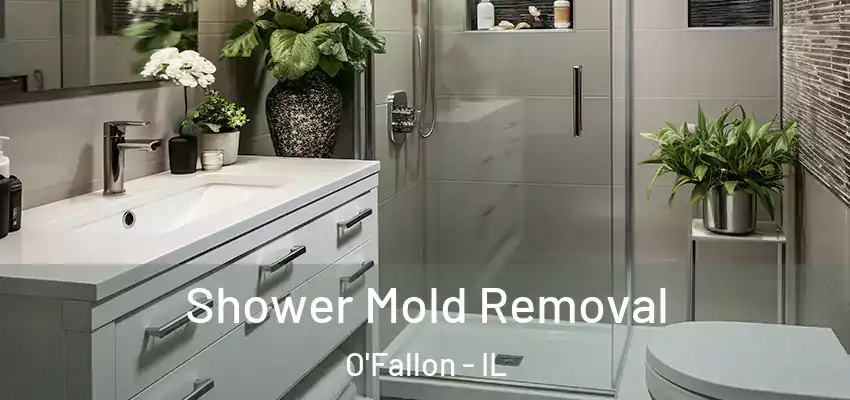  Shower Mold Removal O'Fallon - IL