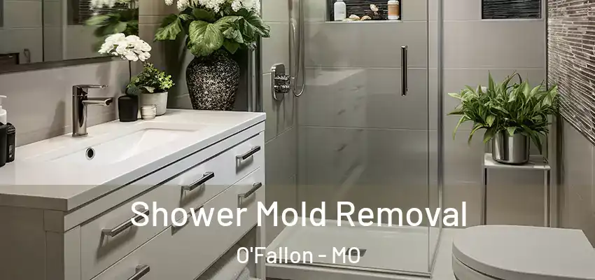 Shower Mold Removal O'Fallon - MO