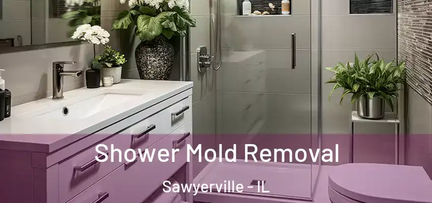  Shower Mold Removal Sawyerville - IL