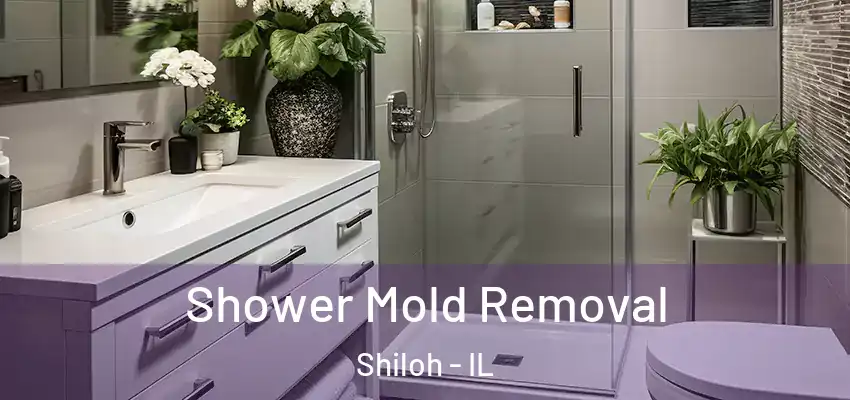  Shower Mold Removal Shiloh - IL