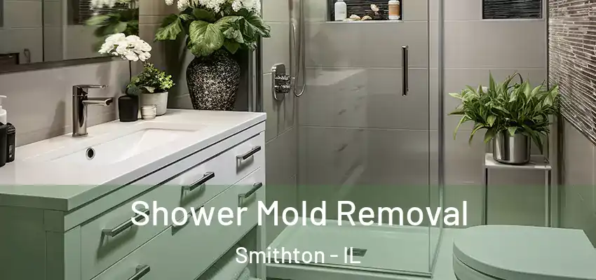  Shower Mold Removal Smithton - IL
