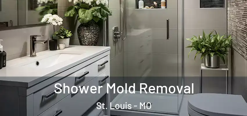  Shower Mold Removal St. Louis - MO