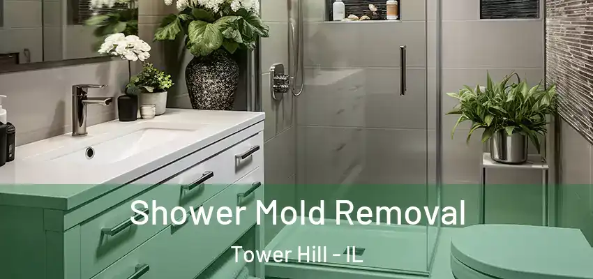  Shower Mold Removal Tower Hill - IL