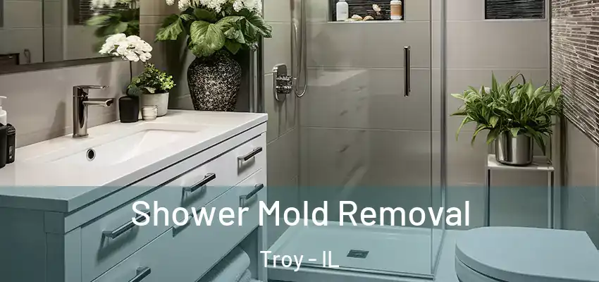  Shower Mold Removal Troy - IL