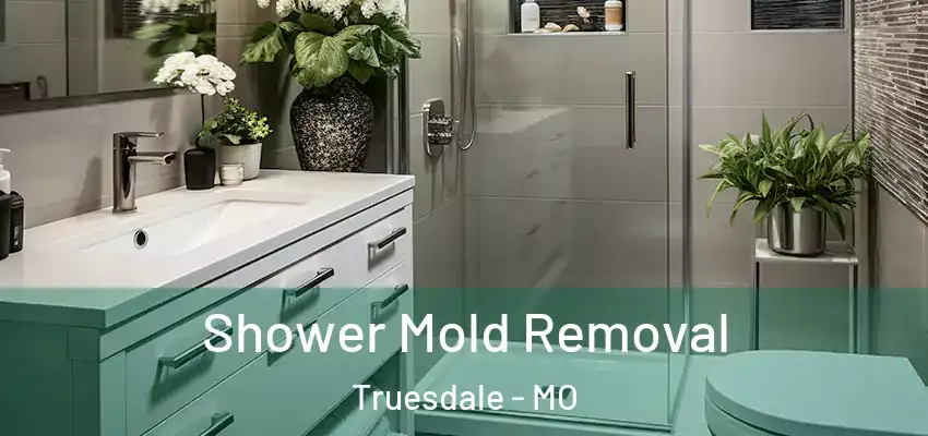  Shower Mold Removal Truesdale - MO