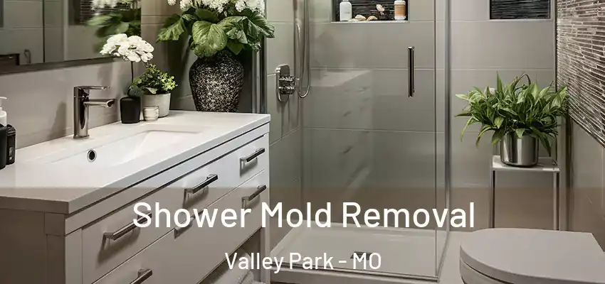  Shower Mold Removal Valley Park - MO
