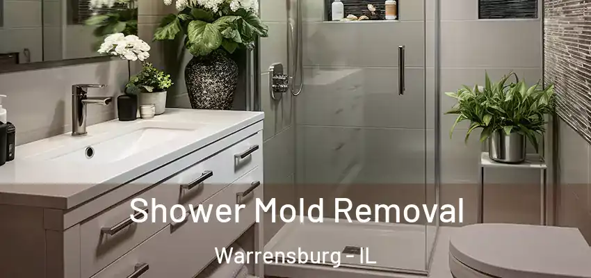  Shower Mold Removal Warrensburg - IL