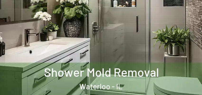 Shower Mold Removal Waterloo - IL