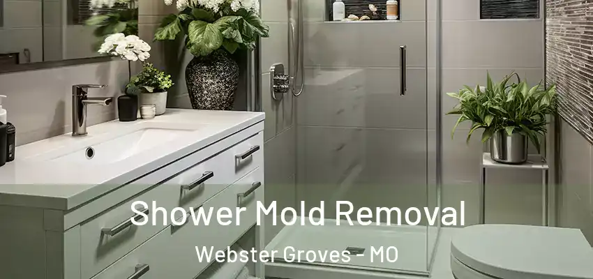  Shower Mold Removal Webster Groves - MO