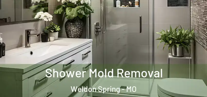  Shower Mold Removal Weldon Spring - MO