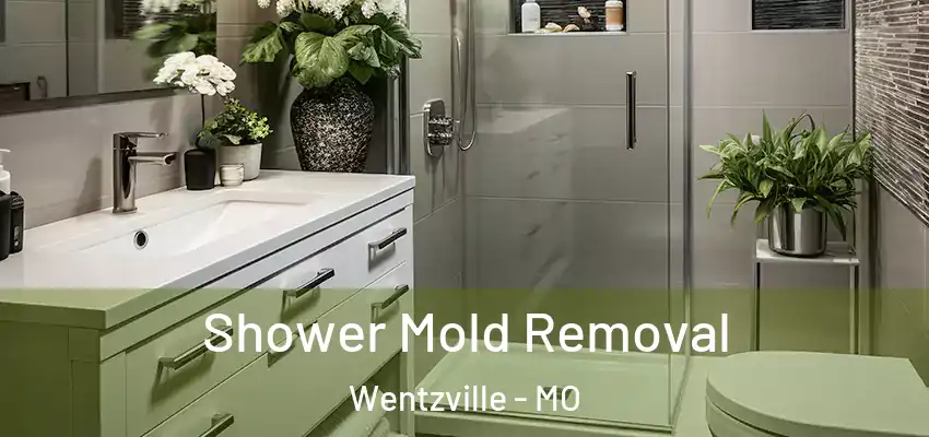  Shower Mold Removal Wentzville - MO