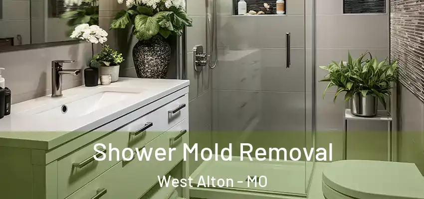  Shower Mold Removal West Alton - MO
