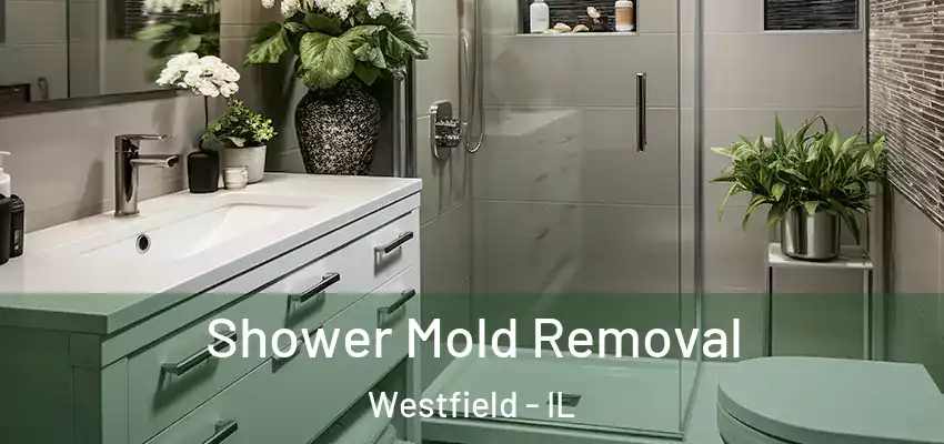  Shower Mold Removal Westfield - IL